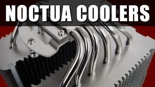 Noctua NHU12S NHU14S and NHD14 CPU Coolers Review [upl. by Nue570]