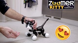 ZOOMER KITTY la GATTINA ROBOT coccolosa che SEMBRA VERA [upl. by Arleen]