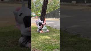 Broma😱lamodelo💃y el unicornio 😂😂 funny comedy youtube shorts humor [upl. by Kepner]