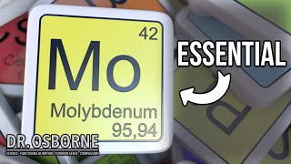 Molybdenum  An Essential Mineral Every Body Needs [upl. by Nemraciram]