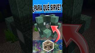 ¿PARA QUÉ SIRVE EL CANALIZADOR O CONDUCTO EN MINECRAFT 🤔 [upl. by Irneh]