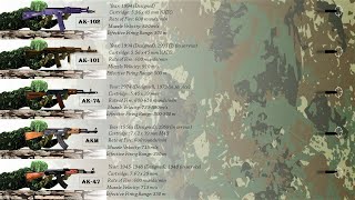 Evolution of Kalashnikov AK Assault Rifle AK47 AK200 [upl. by Birkett]