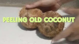 Plants Pal TV is live PEELING OLD COCONUT ASMR SATISFYING SOUNDS [upl. by Wanda]