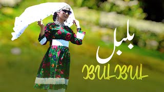 New Hazaragi Song  Bulbul  Salman Hamdard  آهنگ جدید هزارگی از سلمان همدرد  بلبل [upl. by Ailido]