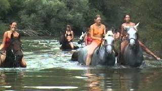 Promenade à Cheval avec baignade près dArgelèsSurMer [upl. by Keemahs212]