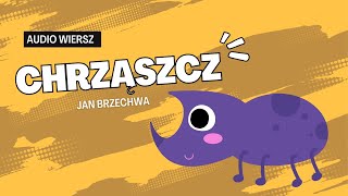 Wiersze dla dzieci  Jan Brzechwa  Chrząszcz  wiersze i audiobooki pl [upl. by Kutzer862]