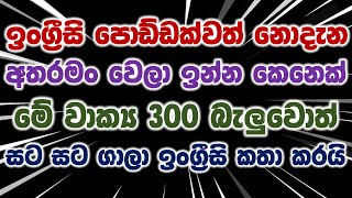 300 Practical English Sentences For Daily Use  Most Common English Phrases In Sinhala [upl. by Gowrie821]