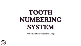 Tooth numbering system Palmer Universal amp FDI systems  Dental lectures  Dental Anatomy [upl. by Avehsile]