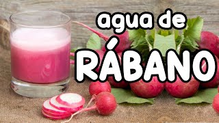 Recreando la receta del Agua de Rábano  Agua de rabanito  Cómo hacer agua de rábano [upl. by Neelram]