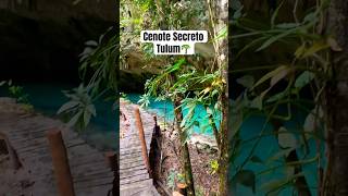 Cenote Secreto en Tulum 🌴💦 energiafemenina madreagua tulum [upl. by Reeve]