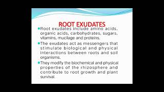 SJCTNCDrMPARIMALA CELIAPMB14BMICROBIAL ECOLOGYUNIT 2RHIZOSPHERE [upl. by Virgil]