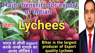 how to export lychees fruits from india Lychee export from Bihar [upl. by Atiuqihs]