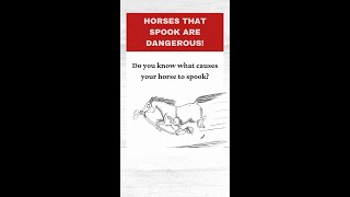 Horses That Spook Are Dangerous  Holistic Horseworks holistichorse horse horsecare [upl. by Suk]