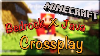 Minecraft Bedrock Crossplay auf Java Server [upl. by Barnebas]