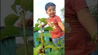 Dil Hai Chota Sa song bollywood hindisong cutebaby [upl. by Uriiah542]