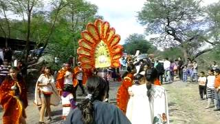 Dia del cerrito 2014 en zacoalco de torres jalisco [upl. by Solhcin91]