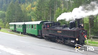 Feistritztalbahn FTB – HerbstFahrtag BirkfeldKoglhof mit U8 01102022 [upl. by Narej]