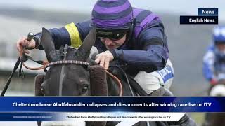 Cheltenham horse Abuffalosoldier collapses and dies moments after winning race live on ITV [upl. by Spillar]