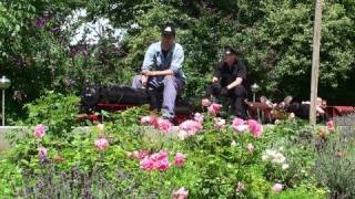 Gartenbahn Garden Railway steam train double headed Doppeltraktion [upl. by Wootan]