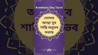 তোমার আত্মা শান্তি অনুভব করছে song new soulsong status music love selflove peace tarot [upl. by Niveb92]