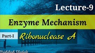 Lecture9  Enzyme Mechanism  Ribonuclease A Catalysis  Acid Base Catalysis type of Reaction [upl. by Nitsrik649]