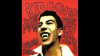 Kid Congo amp The Pink Monkey Birds  Bobo Boogie [upl. by Letsyrhc]