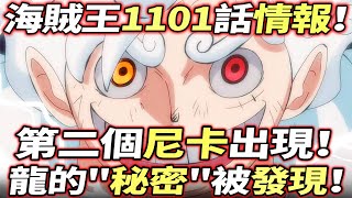 海賊王1101話情報：第二個“尼卡”出現！龍的quot秘密quot被發現！ [upl. by Arretnahs]