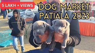 Puppy market in India at cheapest rates Wholesale Dog market outside Patiala Dog show 2023 [upl. by Ekeiram446]