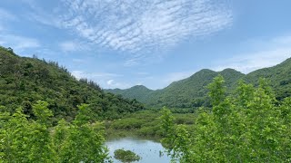 荔枝窩  鎖羅盆村  榕樹凹村  谷埔  鹿頸 （行山郊遊樂） [upl. by Rellek]