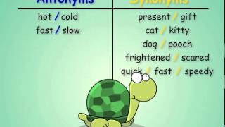 Antonyms and Synonyms [upl. by Alexander]