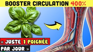 LUTTER CONTRE Mauvaise Circulation Jusqu’à 99 Avec Ces Herbes NATURELLES   Allez Santé [upl. by Borries]