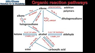 202 Organic reaction pathways HL [upl. by Krissie]