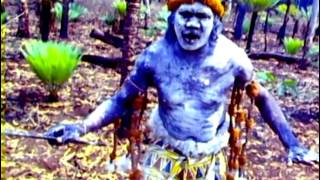 Yothu Yindi  Tribal Voice [upl. by Coffeng]