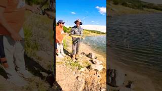 INSANE Walleye Bite walleye fishing colorado [upl. by Barbuto]