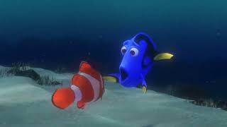 FINDING NEMO All Movie Clips 2003 [upl. by Ardnazil972]