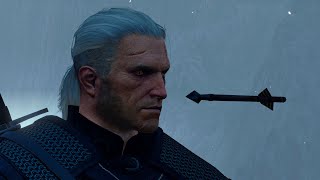 The Witcher 3 POLISH VOICE ACTING IS SUPERIOR [upl. by Odanref]