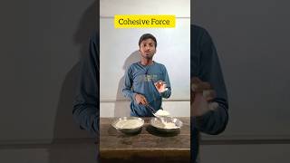 Cohesive Force । physics science [upl. by Adlemi]