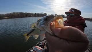 Red eye bass lake George March 21st [upl. by Ssepmet]