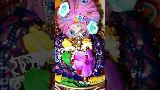 krishna kanhiya nandlala murlidhar mohan viralshorts2 please 👍 amp subscribe to my channel 🙏 [upl. by Charlena505]