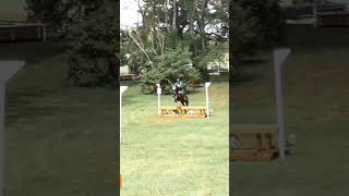 cass eventing equestrian horsebackriding horseriding riding [upl. by Dane]