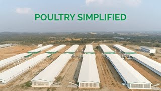 Dhumal Industries  Poultry Simplified [upl. by Pinto362]