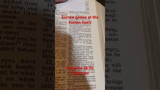 Sorrow gnaws the heart proverbs bible god Jesus Christian wisdom subscribe amen [upl. by Enehpets]