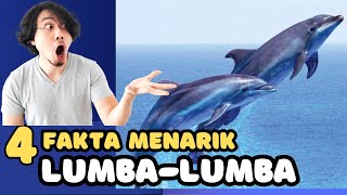 Fakta menarik ikan lumbalumba [upl. by Mayyahk239]