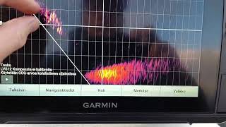 Garmin LiveScope LVS12 kuhankerkiin [upl. by Samaria]