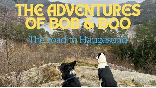 Episode 3 The road to Haugesund [upl. by Heinrik]