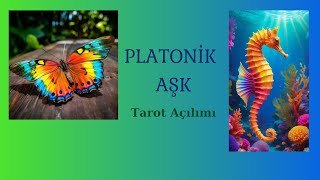 Platonik Aşk Tarot Açılımı 💌 Deste Seç 🦋🦭 [upl. by Hilde919]