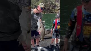 Hawkesbury Jewfish fishing hawkesburyjewfish [upl. by Ferrand]