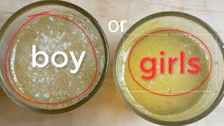 Gender Prediction Test with Sugar गर्भ में लड़का होने के संकेत  gendertest [upl. by Ardath426]