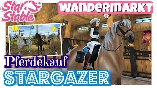 Star Stable SSO PFERDEKAUF DAS MORGAN VOM WANDERMARKT MIT AUSRÜSTUNG DEUTSCH [upl. by Intirb]