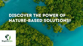 What are NatureBased Solutions and How to Tackle Climate Change and Protect Biodiversity [upl. by Brenk]